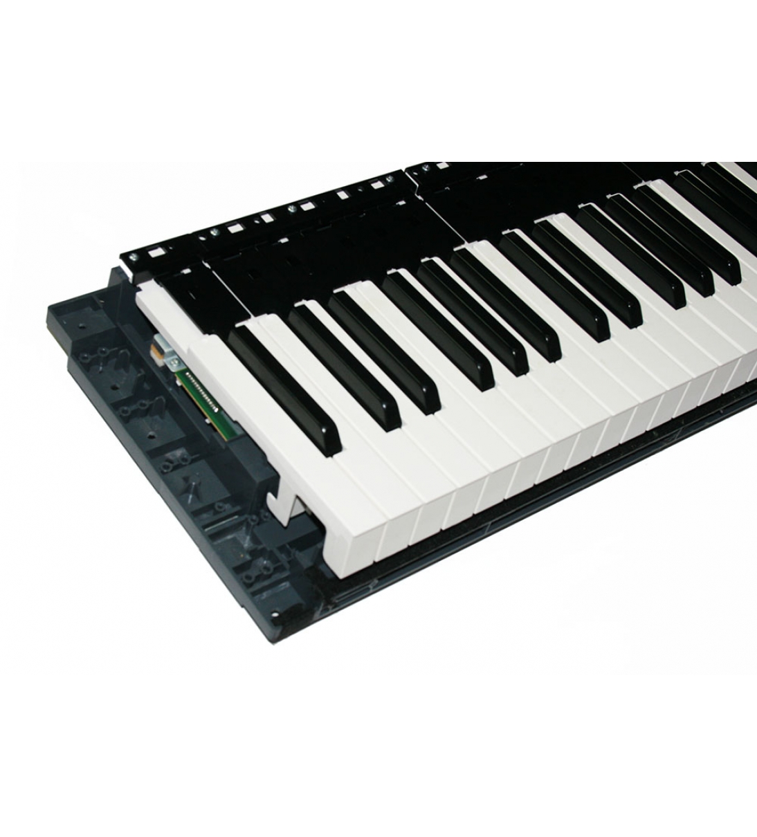 Tastiera a 88 tasti per tastiera Korg, 510C9017 ed è completa di schede di contatto dei tasti e strisce di contatto in gomma